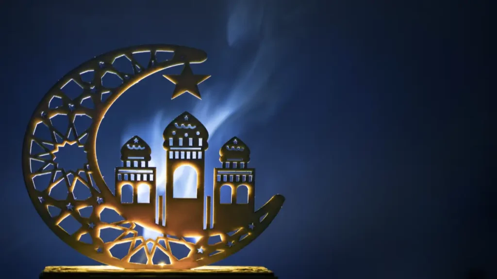 Support & Accompagnement